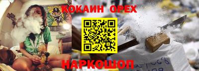 шишки Гай