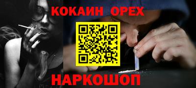 шишки Гай