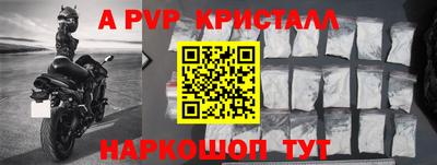 шишки Гай