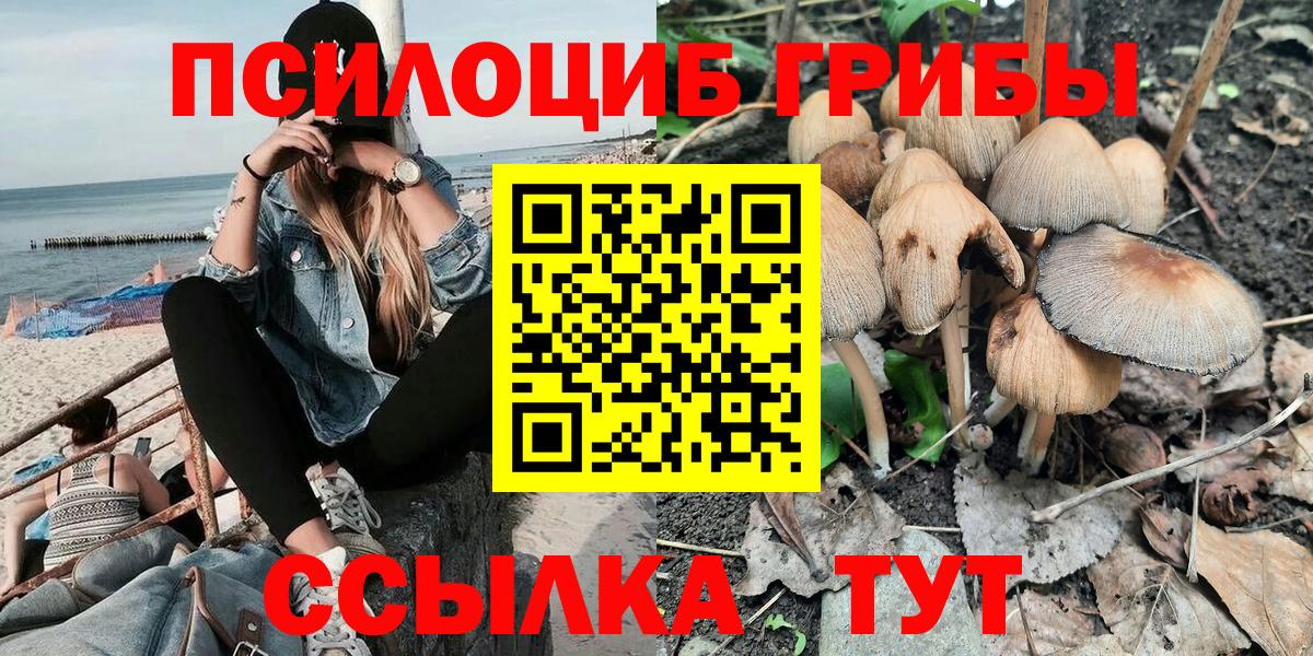 Псилоцибиновые грибы MAGIC MUSHROOMS Юрга