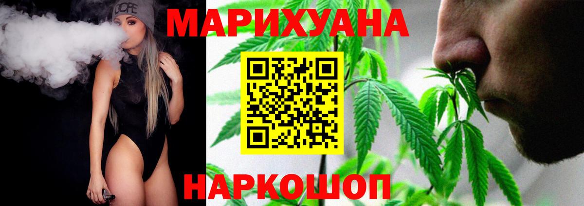 Конопля планчик Юрга